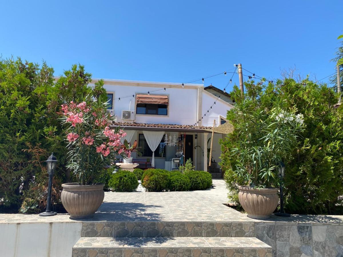 Villa Dune Βάρνα Εξωτερικό φωτογραφία